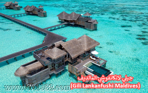 جيلي لانكانفوشي المالديف (Gili Lankanfushi Maldives)