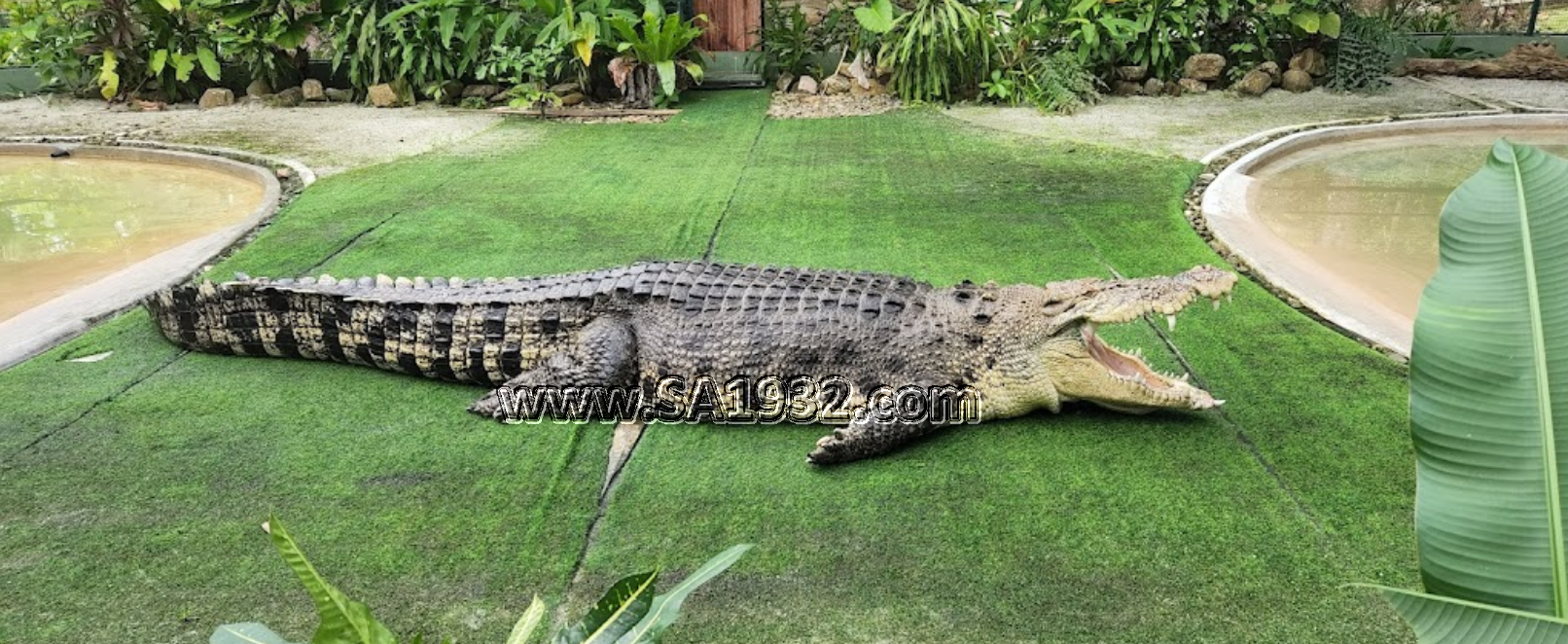 حديقه التماسيح (Crocodile Adventureland Langkawi)