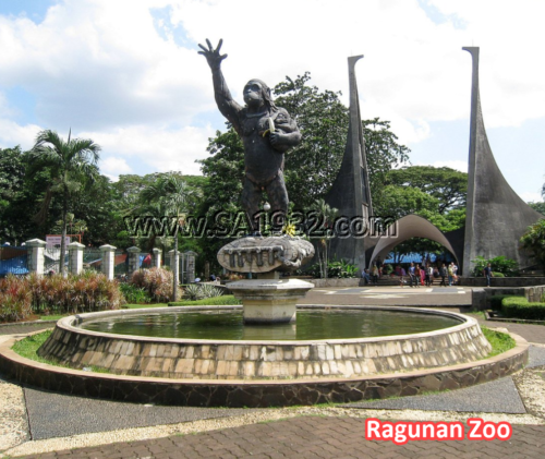 Ragunan Zoo Taman Margasatwa Ragunan