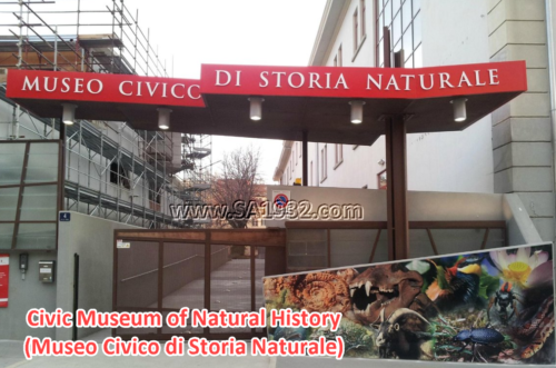 Civic Museum of Natural History (Museo Civico di Storia Naturale)