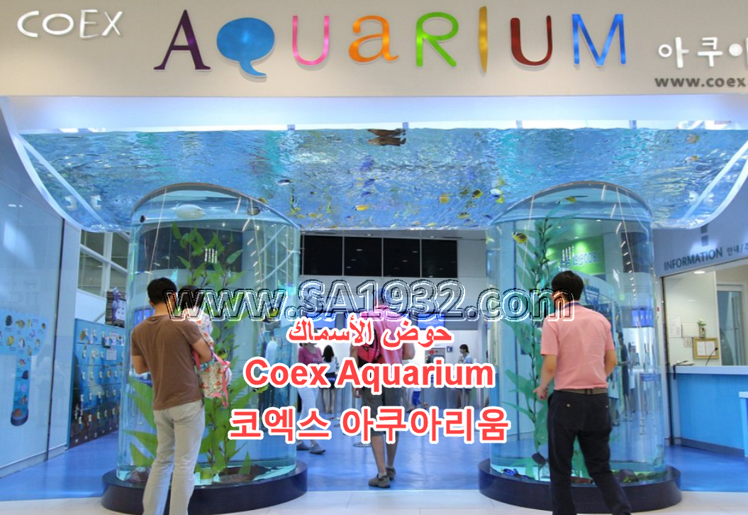 حوض الأسماك Coex Aquarium 코엑스 아쿠아리움