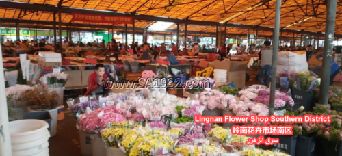 Lingnan Flower Shop Southern District 岭南花卉市场南区 سوق الزهور