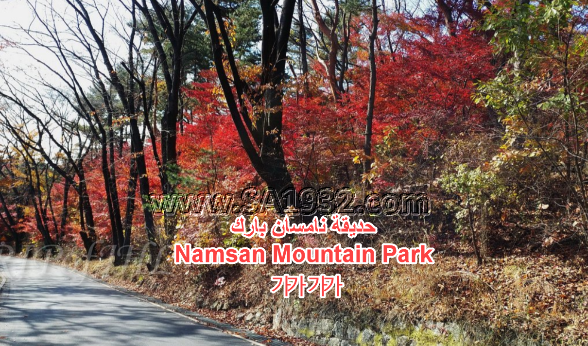 Namsan Mountain Park 남산 공원 سيول كوريا الجنوبية