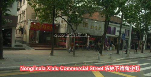 Nonglinxia Xialu Commercial Street 农林下路商业街