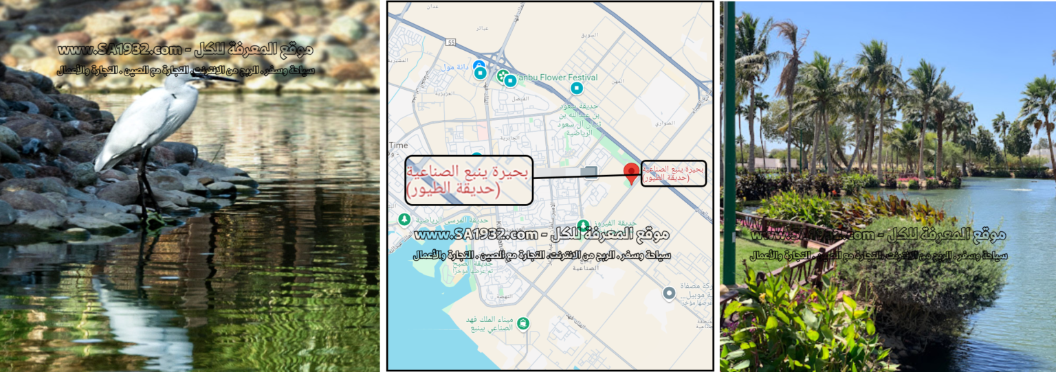 بحيرة ينبع الصناعية Yanbu Lake Park السعودية لنتعرف عليه عن قرب أهم المعلومات الموقع المطاعم والكافيهات والفنادق القريبة منه