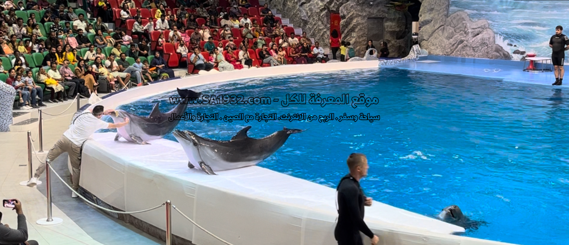 دبي دولفيناريوم Dubai Dolphinarium