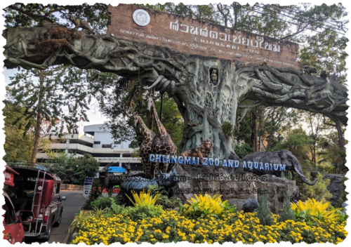 Chiang Mai Zoo 