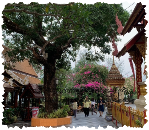 Doi Suthep-Pui National Park 