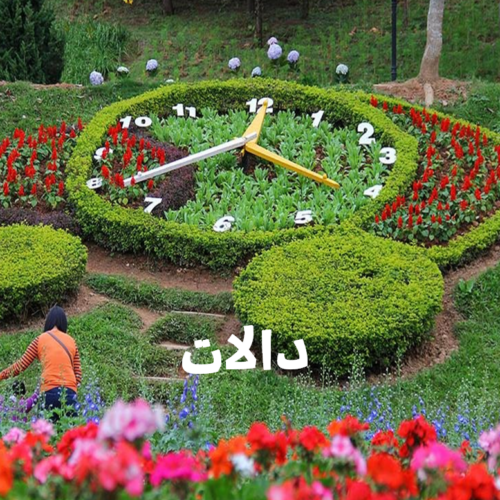 دالات