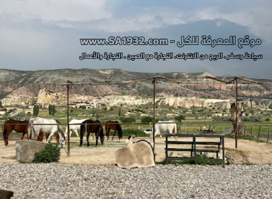 Cappadocia Manej Horse Farm