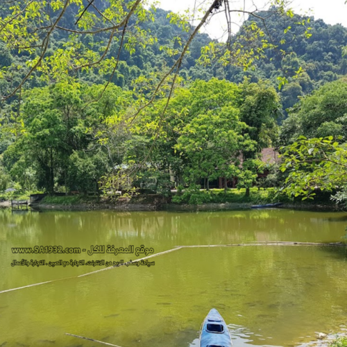 Cuc Phuong National Park Vườn Quốc Gia Cúc Phương