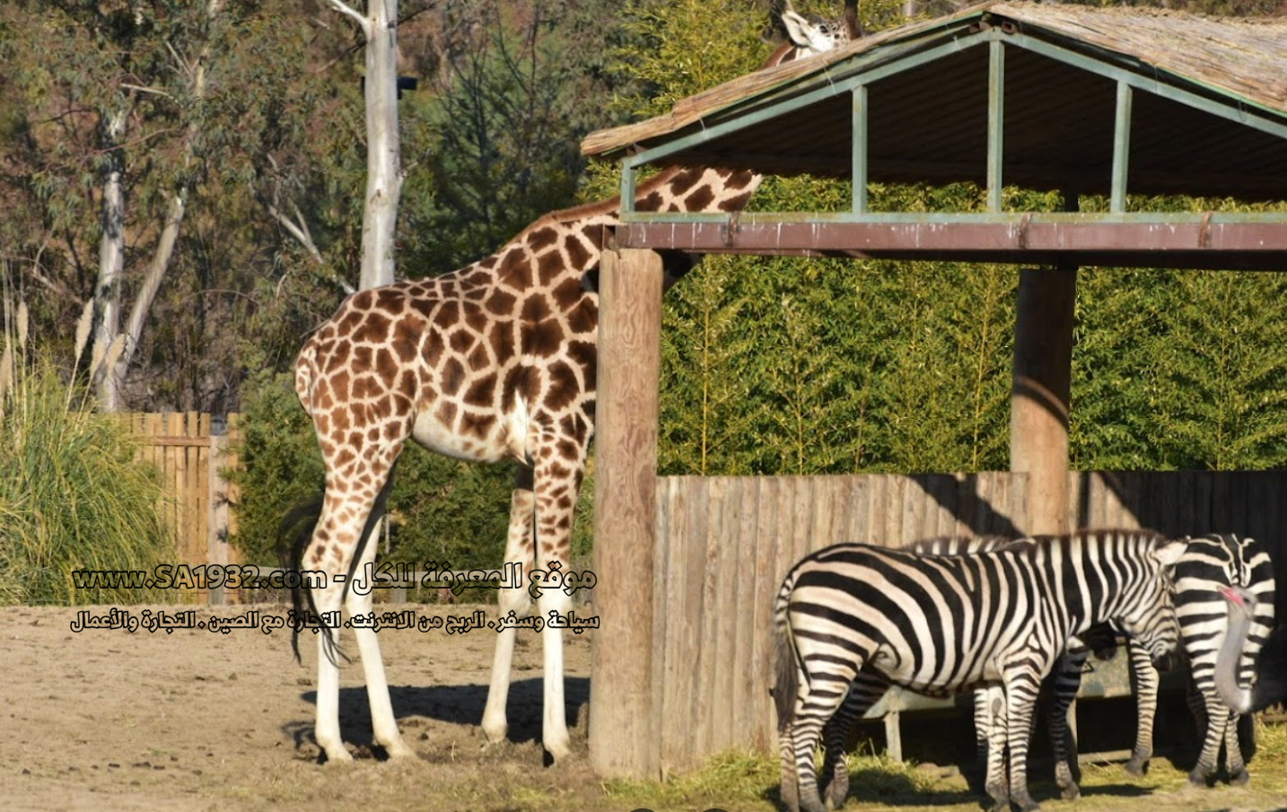 Izmir Wildlife Park