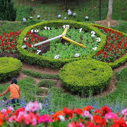 ‪Dalat Flower Park‬ Vườn hoa thành phố Đà Lạt