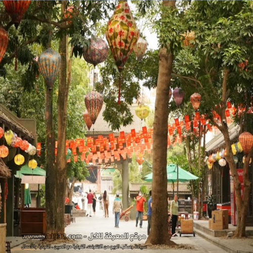 Hoa Lư Old town Phố cổ Hoa Lư