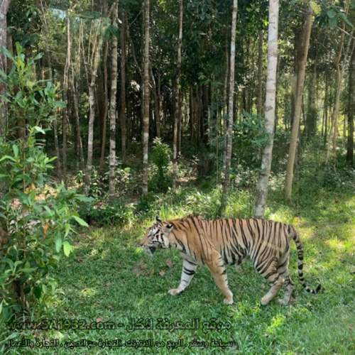 Phu Quoc National Park Vườn Quốc gia Phú Quốc