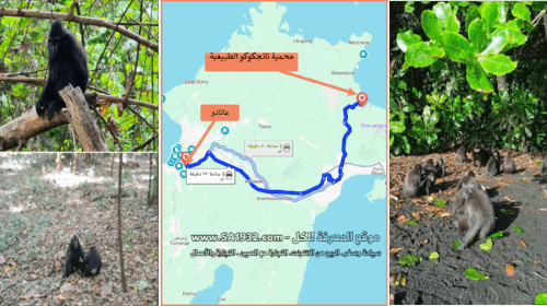 وجهات سياحية قريبة من مانادو Manado إندونيسيا