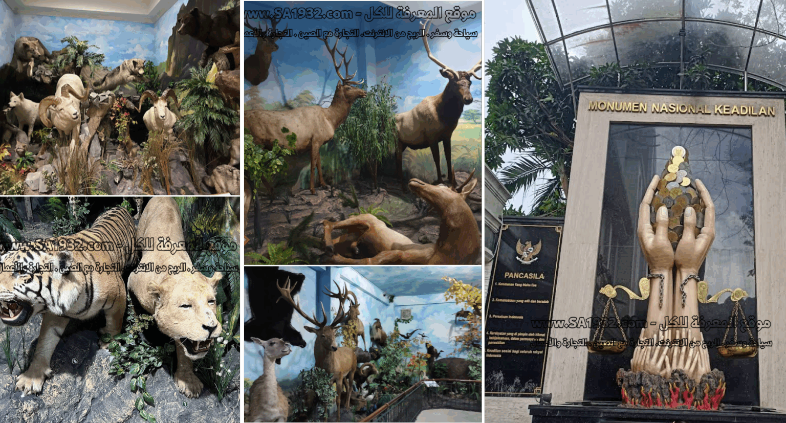 Rahmat International Wildlife Museum & Gallery
